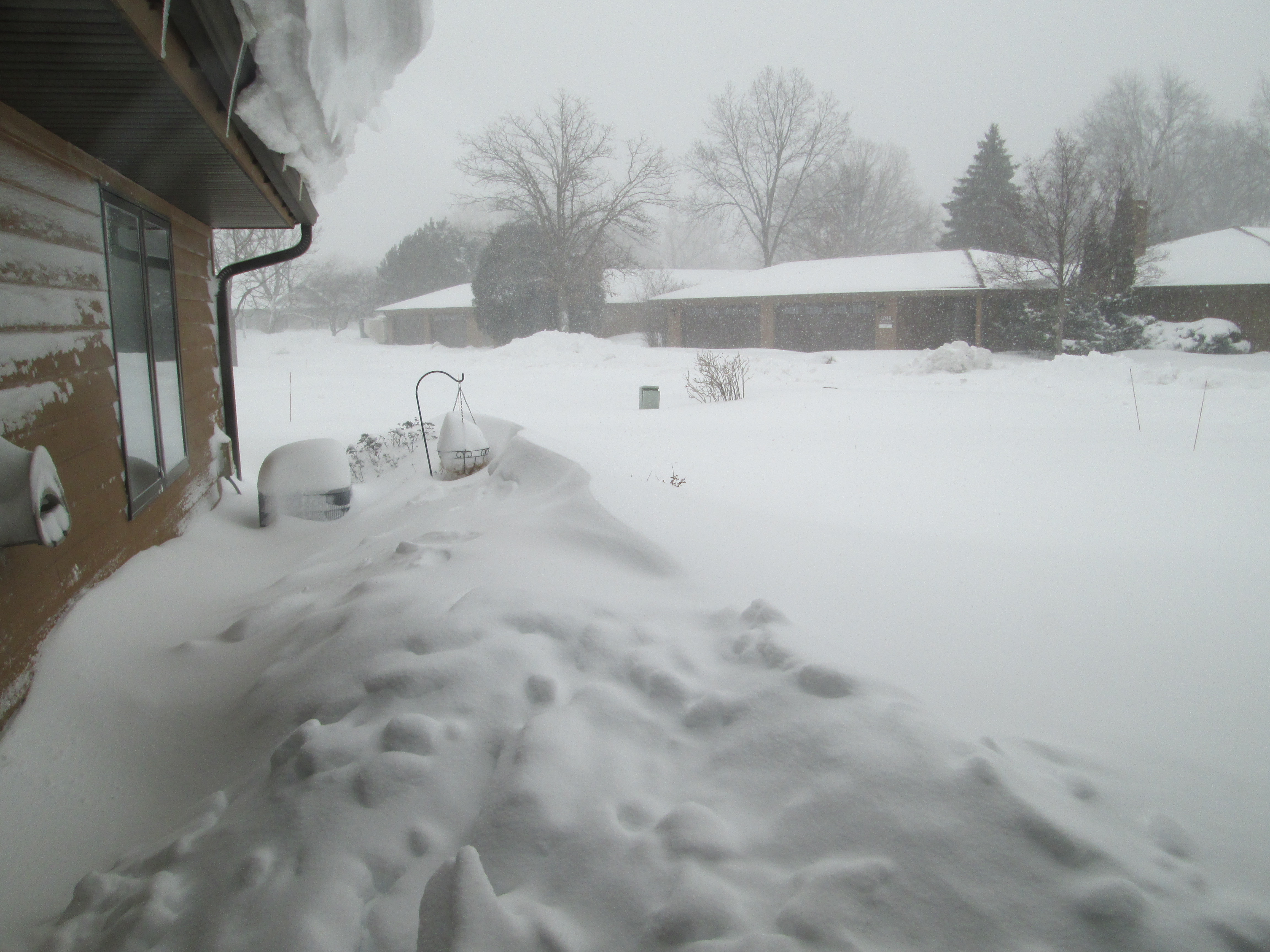 Blizzard 2026 East View