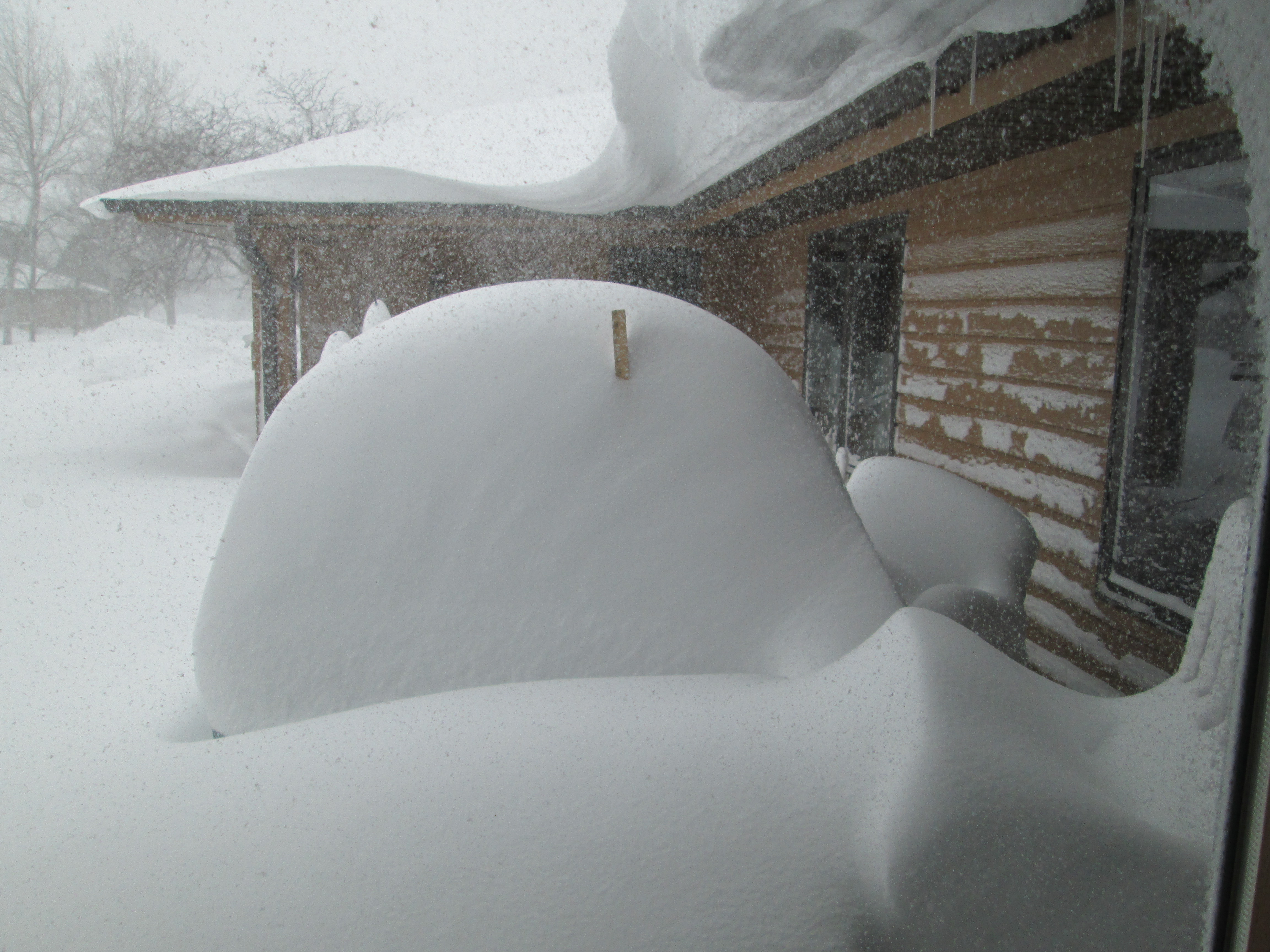 Drift on Neighbor's Picnic Table