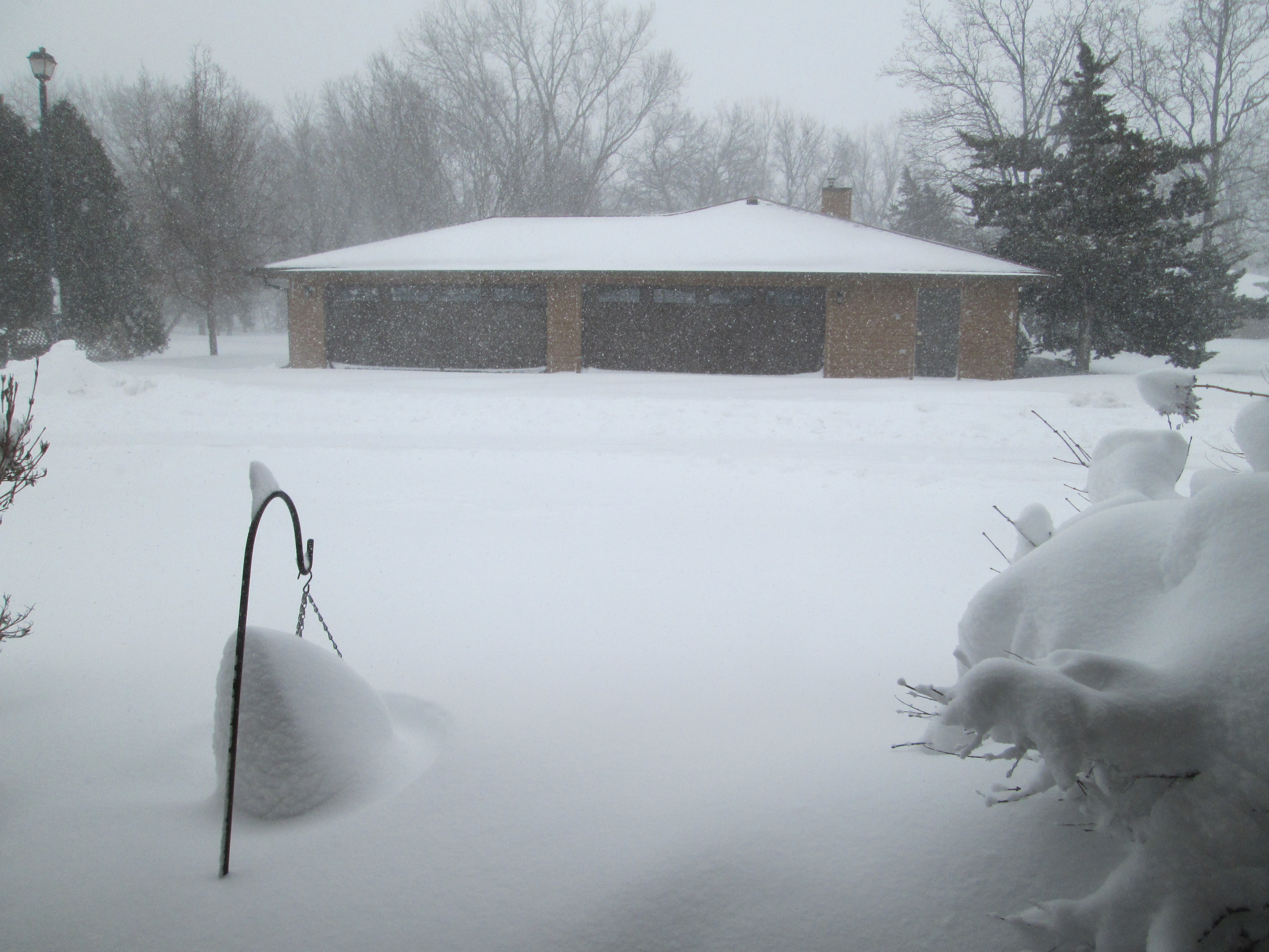 Blizzard 2026 South View