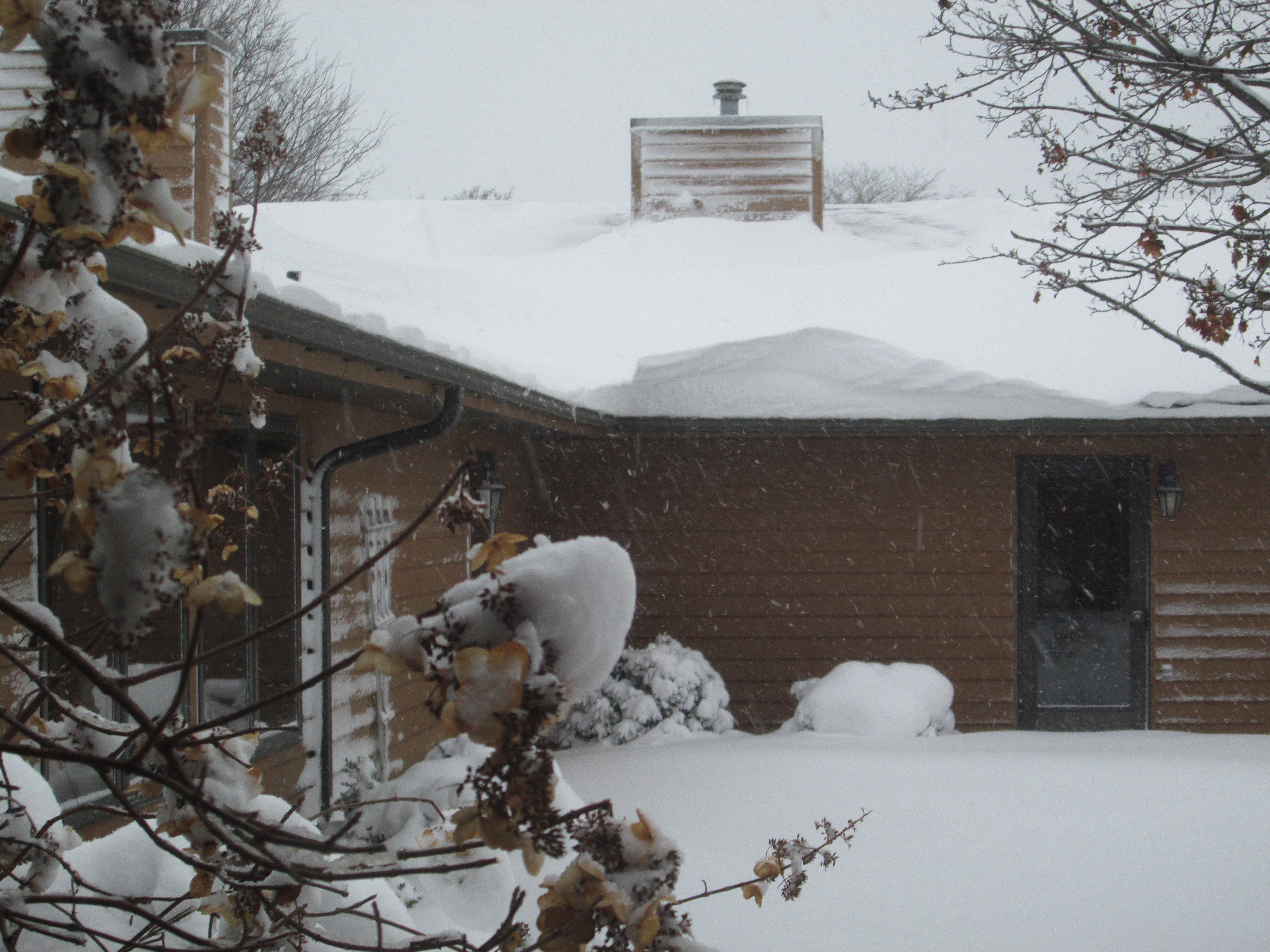 Partial view of our courtyard
